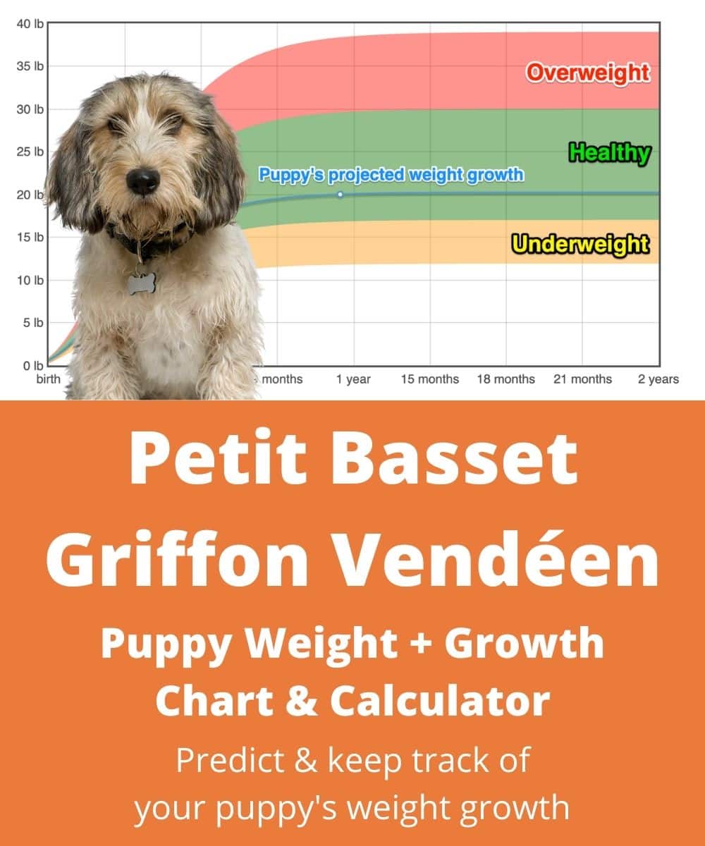 petit-basset-griffon-vendeen Puppy Weight Growth Chart
